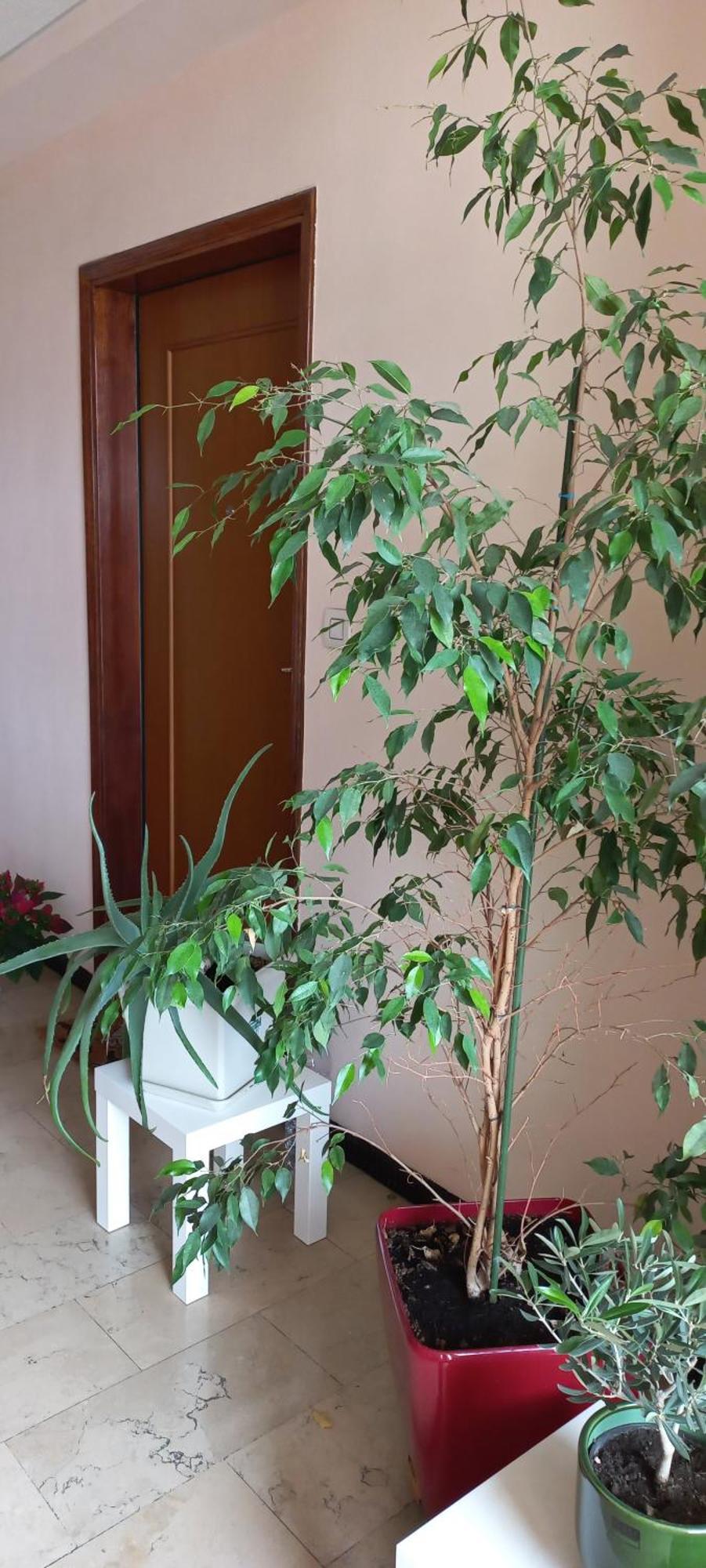 Appartement Casamia Tra Navigli E Universita - Free Parking Milaan